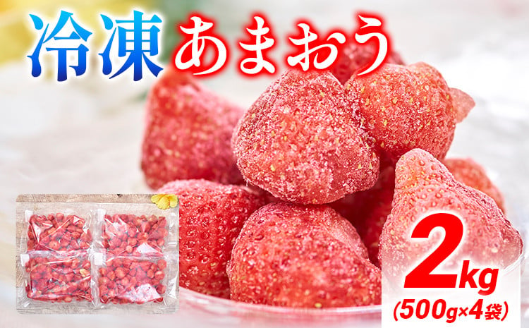 
福岡産 冷凍あまおう 2kg(500g×4袋) あまおう イチゴ いちご スイーツ 果物 フルーツ 送料無料 冷凍フルーツ ジャム 苺 ケーキ スムージー いちご飴 かき氷 フルーツ大福 クリスマス 大木町産 南国フルーツ CO027
