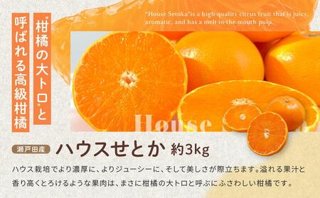 尾道発 厳選！柑橘定期便（全2回）
