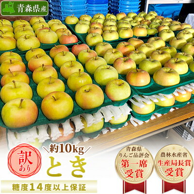 【ふるさと納税】「とき」約10kg・糖度14度以上保証・訳あり家庭用りんご_A28【配送不可地域：離島・沖縄県】【1074180】