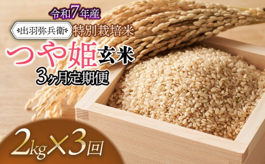 【令和7年産】【定期便3ヶ月】特別栽培米 つや姫 【玄米】 2kg×3ヶ月　山形県鶴岡市産　出羽弥兵衛