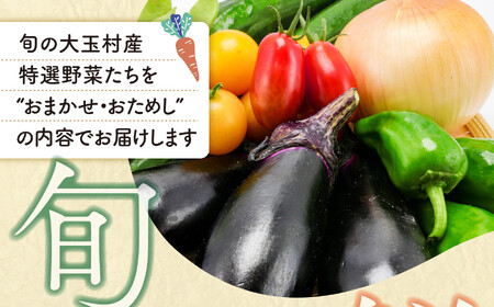野菜 【6回定期便】野菜セット《先行予約》10種類前後 野菜 野菜 野菜