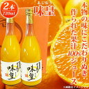 【ふるさと納税】有田みかん果汁100％ジュース「味皇」720ml×2【UT01】 | 飲料 果実飲料 ドリンク 食品 人気 おすすめ 送料無料