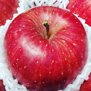 りんご（サンふじ）３ｋｇ　贈答用　0030-2416