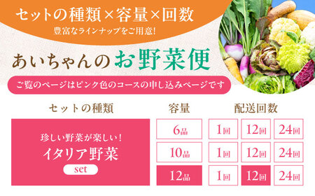 【12品×12回定期便】あいちゃん農園の「イタリア野菜」セット（ラージ） 野菜 やさい[FAA022]