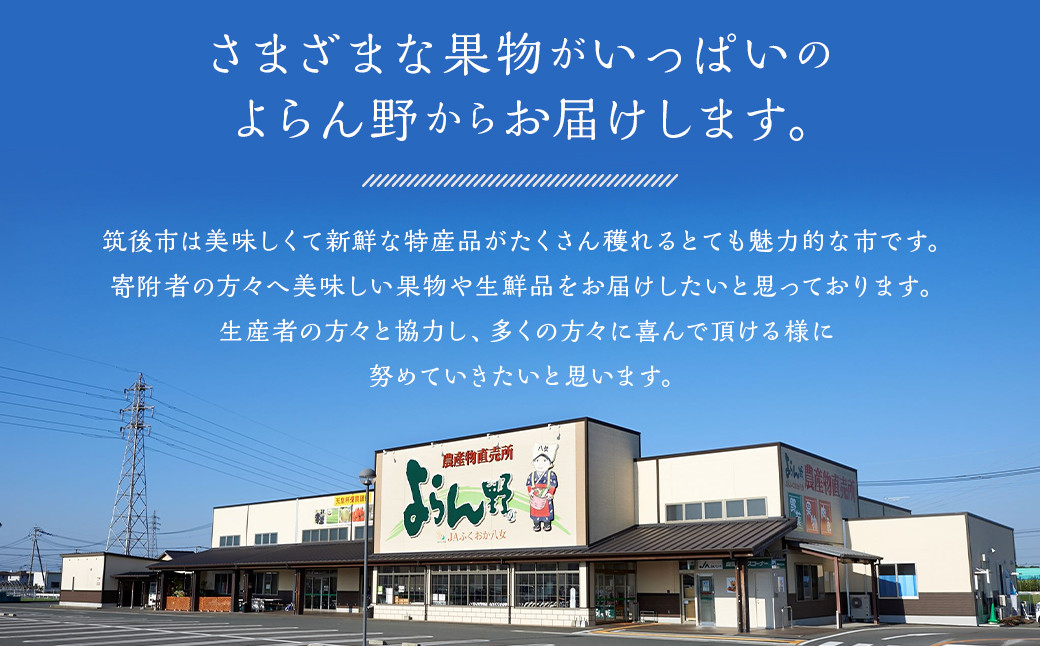 新興梨 9～12玉 約5kg ナシ 梨 福岡県産