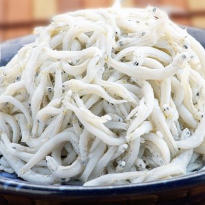 定期便 釜揚げしらす (1kg×9か月) 天然 釜揚げ ふっくら しらす シラス 魚 さかな 魚介 離乳食