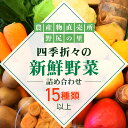 【ふるさと納税】四季折々の新鮮野菜詰め合わせ　旬をお届け!　【15種類以上】ANAR008