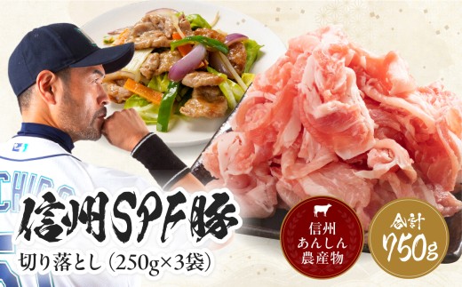【訳あり】 信州SPF豚 切り落とし 750g ( 250g×3袋 ) | 訳あり 不揃い SPF豚 豚 豚肉 ポーク お肉 切落し 肉 信州 南信州 送料無料 ふるさと納税 長野県 飯田市