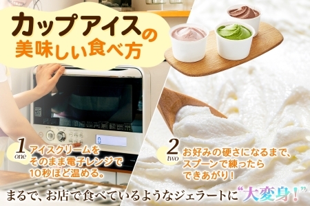 アイスクリーム ジェラート 食べ比べ 15個 アイス A セット 北海道 1336
