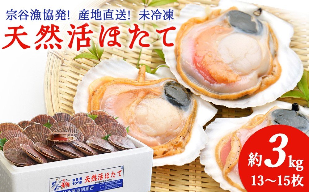 
                  ＜順次発送中＞宗谷漁協発!産地直送!活ほたて約3㎏(13～15枚入)刺身 海鮮
                