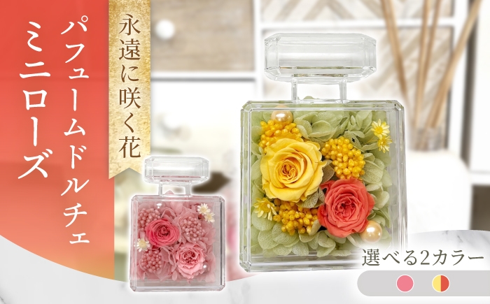 
                  【選べるカラー】パフュームドルチェミニローズ　プリザーブドフラワー アレンジメント お花ギフト / 大村市 サニーサイドファクトリー [ACCK055]
                