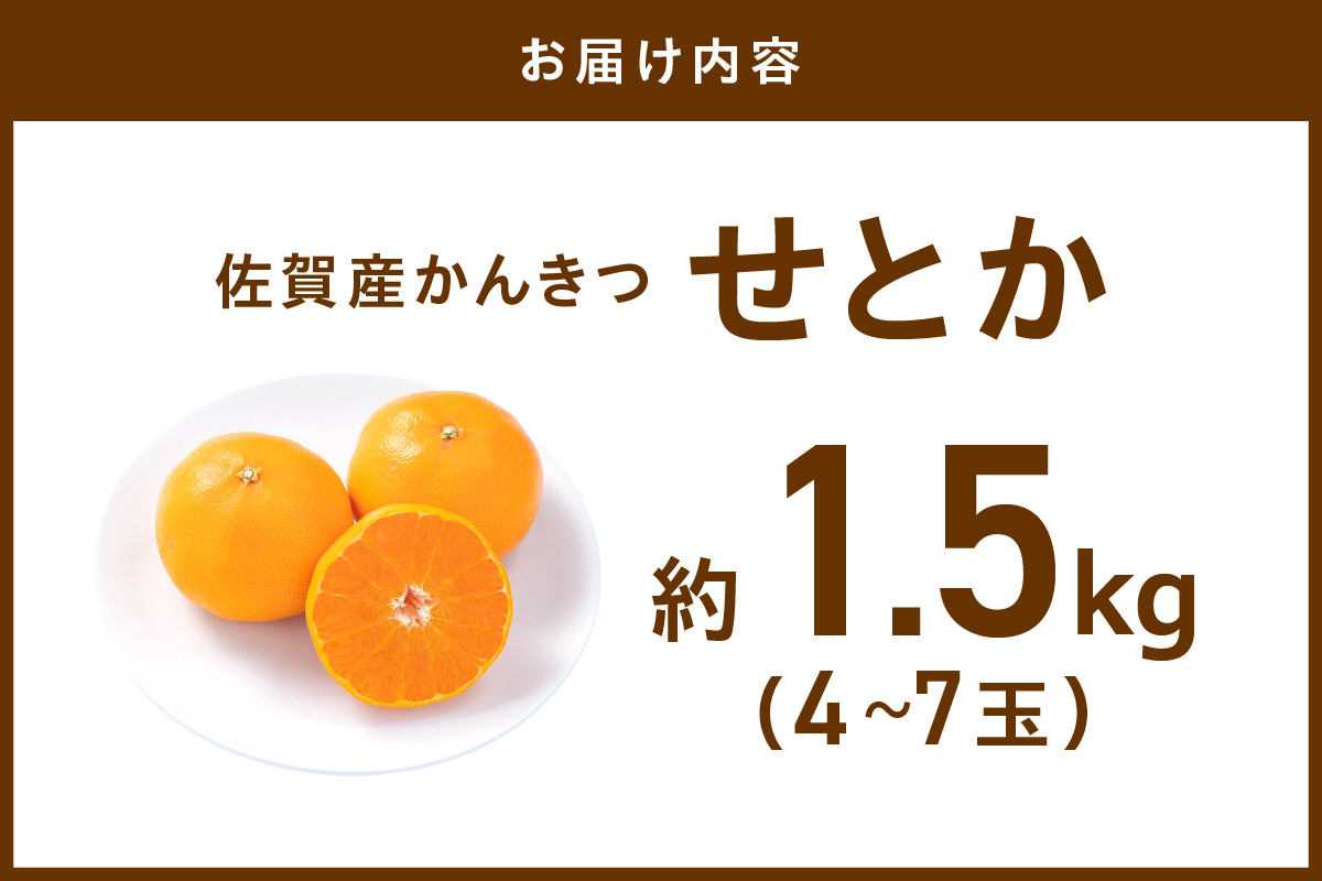 佐賀産 柑橘類 せとか 約1.5kg （4〜7玉） 147-B405