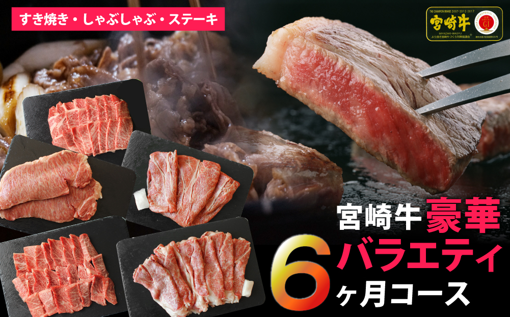 6回 定期便 宮崎牛 豪華 バラエティ 6ヶ月コース 合計4.6kg [マルミヤストア 宮崎県 美郷町 31ag0091] 肉 牛 牛肉 モモ もも 焼肉 バラ 肩ロース スライス サーロイン ステーキ