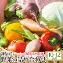 【ふるさと納税】諫早のんのこ彩菜・詰め合わせセット / 季節 旬 野菜 春野菜 夏野菜 秋野菜 / 諫早市 / 肥前グローカル株式会社 [AHDI005]