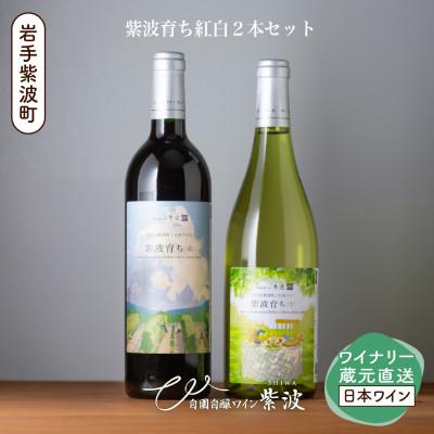 ふるさと納税 紫波町 【自園自醸ワイン紫波】紫波育ち紅白2本セット