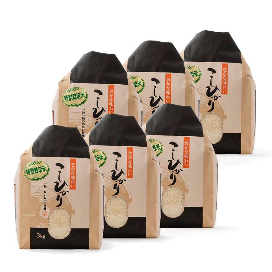 特別栽培米こしひかり3kg　定期便6回