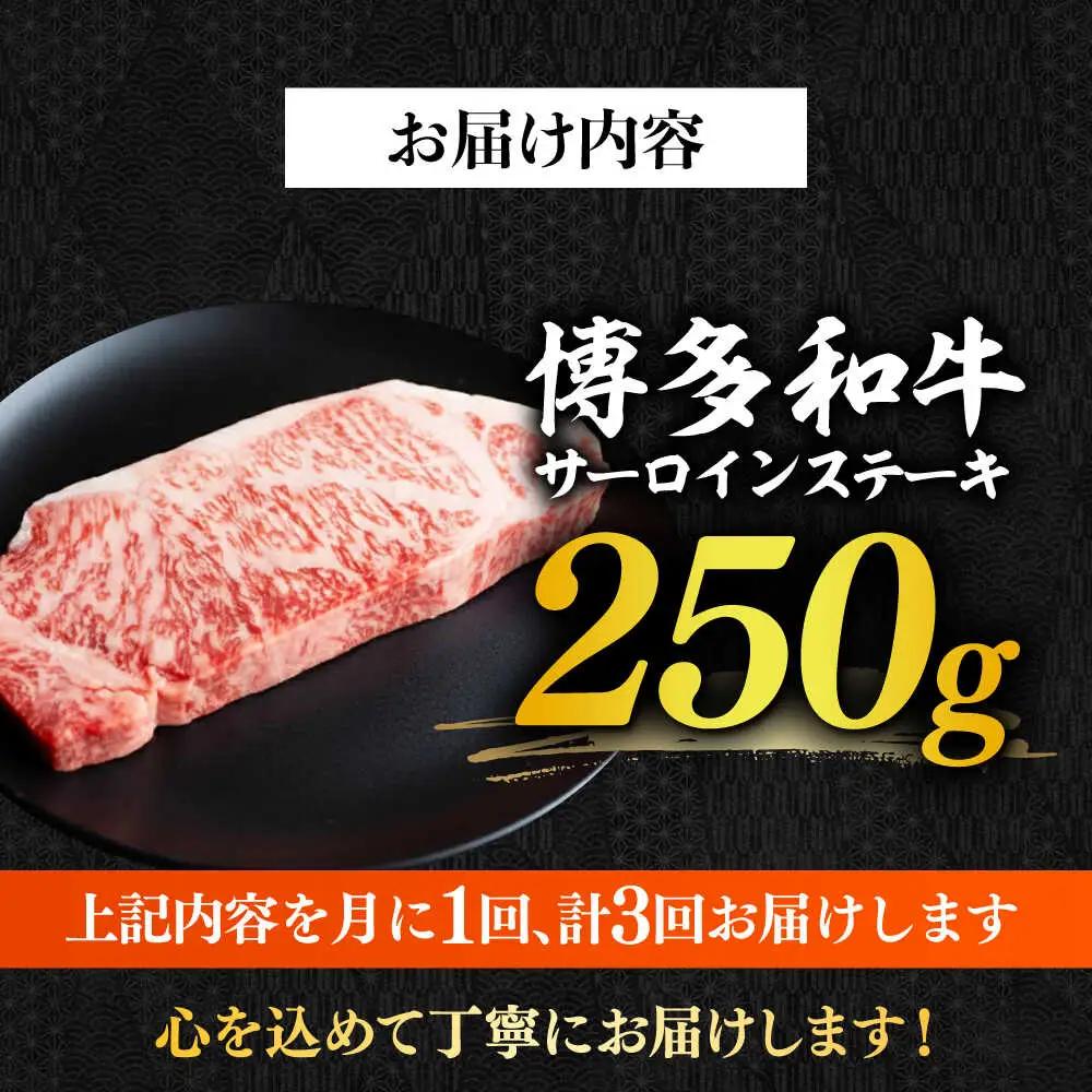 サーロイン 【全3回定期便】 博多和牛A4以上サーロインステーキ250g×1枚 [ABBP045]
