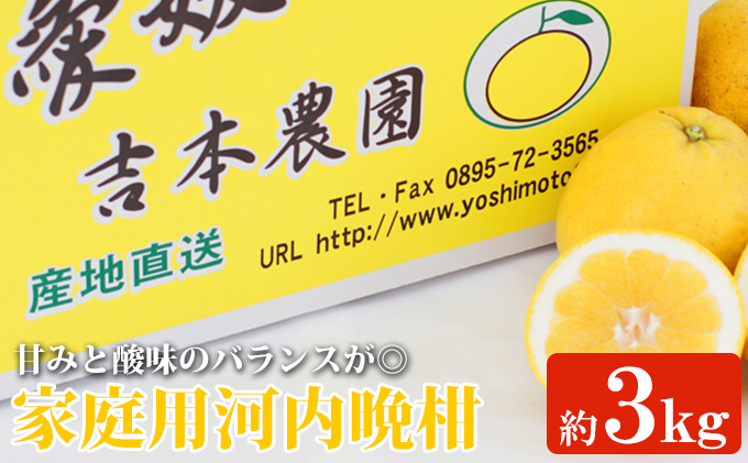 吉本農園の愛南ゴールド（河内晩柑）家庭用約3kg　※2024年4月上旬～8月上旬頃に順次発送予定