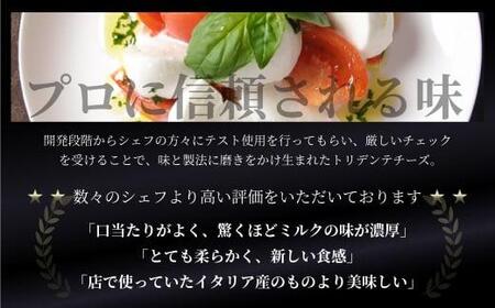 飛騨生乳100％ モッツァレラチーズ生ブロック 750g | 冷蔵   業務用 モッツァレラチーズ  トリデンテ LF010