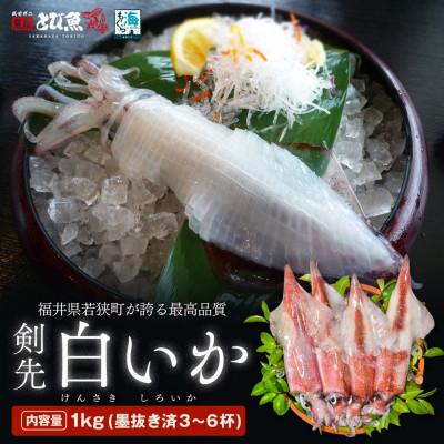 ふるさと納税 若狭町 【若狭湾産】剣先イカ 3〜6杯　スミ抜き　冷凍