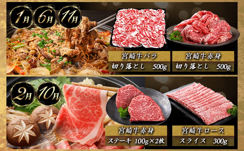 宮崎牛定期便(10ヶ月)〔T120（10）-0103〕
