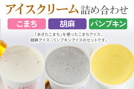 アイスクリーム詰め合わせ 12個入り 3種(こまちアイス パンプキンアイス 胡麻アイス)