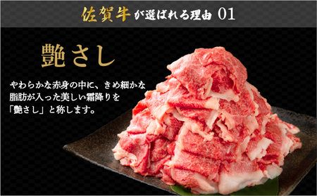 ＜定期便3回＞佐賀牛たっぷり切り落とし 1kg (500g×2パック)