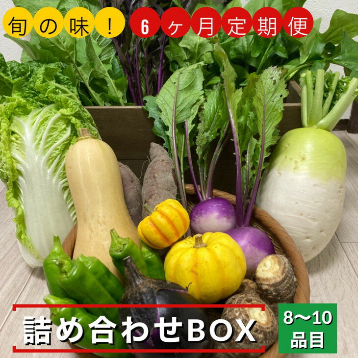 【ふるさと納税】野菜 6回 定期便 旬の味！お野菜詰め合わせBOX 8～10品目×6回（栽培期間中 農薬・化学肥料不使用）【めぐる農園】京都 亀岡 京野菜 農家より直送