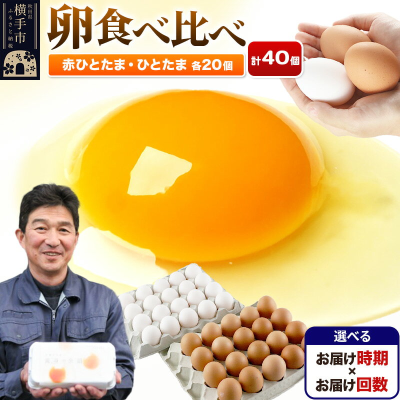 【ふるさと納税】【常温発送】赤ひとたま 20個・ひとたま 20個 計40個（業務用）【選べる開始時期×お届け回数（定期便）】東海林養鶏場 赤ひとたま ひとたま 卵 玉子 たまご タマゴ 配送時期選べる お届け回数選べる 定期便