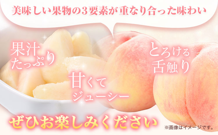 【2024年分先行予約】産直・人気の特産品 和歌山の 桃 約 4kg 秀選品 厳選館 《2026年6月下旬-8月中旬頃出荷》 和歌山県 日高町 桃 もも モモ