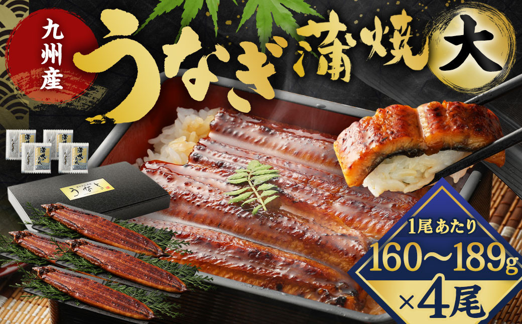 【丑の日／配達日指定可能】九州産 うなぎ 蒲焼 大 4尾 (1尾あたり160～189g)