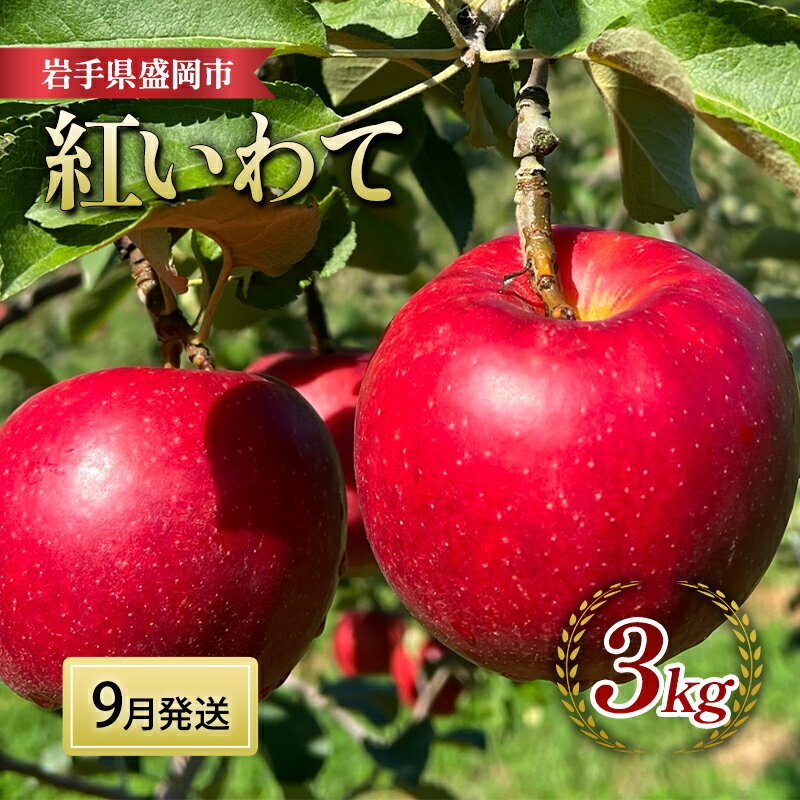 【ふるさと納税】りんご 先行予約 紅いわて 3kg (8～12個) 北田りんご園 完熟 フルーツ 果物 夏 秋 旬 旬のフルーツ 季節のフルーツ 先行 予約 林檎 リンゴ 岩手 岩手県 盛岡 盛岡市 9月発送　お届け：2025年9月下旬の発送