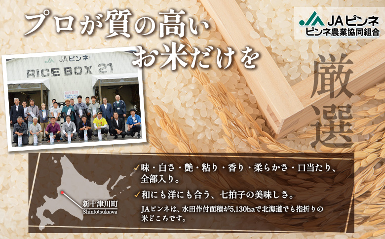 令和7年 ななつぼし 精米 定期便 12回 5kg  ｜ オンライン 申請 ふるさと納税 北海道 新十津川 北海道産 米 ブランド ブランド米 お米 北海道米 道産米 道産 ご飯 美味しい ギフト  