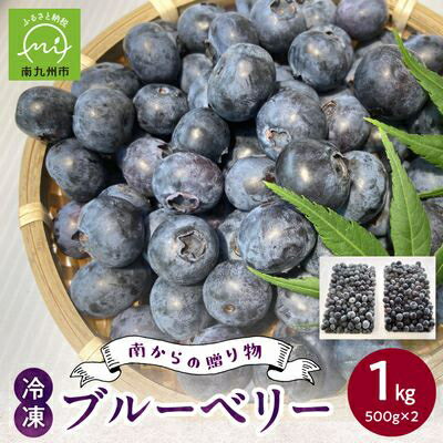 【ふるさと納税】冷凍ブルーベリー 1kg【配送不可地域：離島】【1689025】