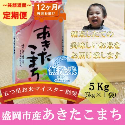 ふるさと納税 盛岡市 【毎月定期便】無洗米 あきたこまち 5kg全12回