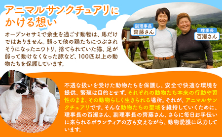 【返礼品なし】引退馬余生支援寄附 30,000円 一般社団法人オープンセサミアライブ 熊本県 南阿蘇村 馬 ウマ 支援 競走馬 引退馬 生活支援 動物愛護 保護 返礼品なし 寄附 牧場 オープンセサミ
