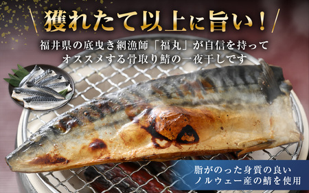  食べやすい魚！骨取り 鯖の一夜干し 約1kg（半身7切）網元漁師「福丸」厳選！ 【さかな サバ さば おかず グルメ 小分け 冷凍 個包装 惣菜 魚介類 海鮮 焼魚 バーベキュー】 [e15-a02