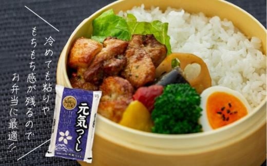 【令和6年産】 福岡県産 米 元気つくし 5kg (1袋 )