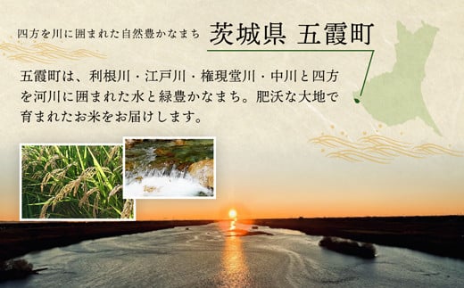 令和5年産『五霞の輝き』無洗米・16kg(5kg×2袋、6kg×1袋)出荷日に合わせて精米 - ブレンド米 お米 コシヒカリ あきたこまち ミルキークイーン ひとめぼれ ゆめひたち あさひの夢 チヨニ