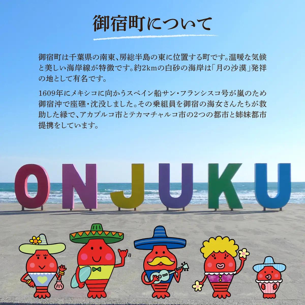 ラ・プラーヤ珈琲の『栽培期間中農薬不使用』自家焙煎コーヒー豆（100g×3袋） ONJM001 / コーヒー豆 コーヒー 豆 珈琲 栽培期間中農薬不使用 ブレンドコーヒー ブレンド ご当地 ご当地コー