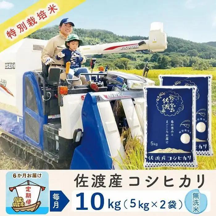 【定期便 10kg 6回】 無洗米 コシヒカリ 令和8年 計 60キロ | 佐渡産 コシヒカリ