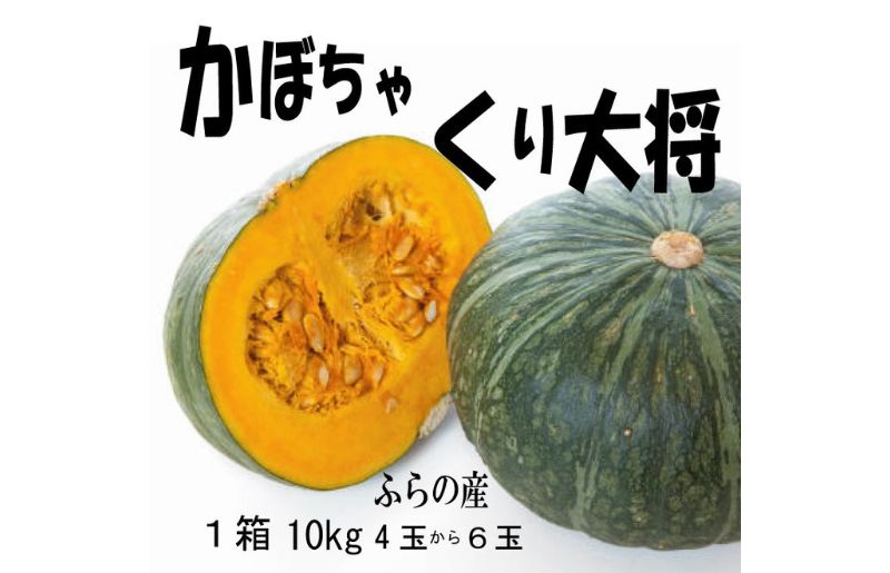 2027年秋発送【数量・期間限定】 ふらの産 かぼちゃ10kg［くり大将］ 富良野 北海道 カボチャ 南瓜 甘い 野菜