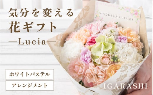 気分を変える花ギフト -Lucia- (アレンジメント・ホワイトパステル) [aw062-a002_07]