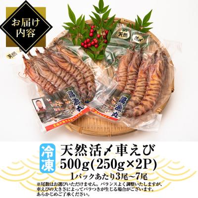 ふるさと納税 佐伯市 漁師直送! 天然活〆車えび (計500g・250g×2P) 大分県産 |  | 01