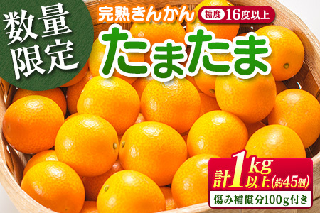 糖度16度以上 数量限定 完熟 きんかん たまたま 計1kg以上 傷み補償分付き 宮崎 期間限定 フルーツ 果物 くだもの ブランド 金柑 柑橘 令和8年発送 化粧箱入り 国産 食品 人気 おすすめ ギフト 贈り物 贈答 ご褒美 お祝い おすそ分け 日南市 送料無料_B215-23
