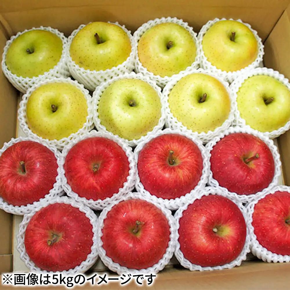 【27年1月発送】りんご サンふじ・王林【贈答用】約5kg（16～20玉程度）先行受付 青森県産 林檎 リンゴ 果物 くだもの フルーツ 青森県 弘前市