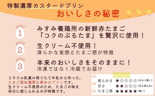 【3か月定期便】たまごやさんのぷるプリン 6個入(濃厚仕立て)×3回 【C7-017】新鮮 赤たまご ぷりん プリン 濃厚 カスタード　定期便