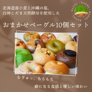 【4回定期便】ベーグル 天然酵母 無添加 京都亀岡 かめまるベーグル10個セット ×4回＜ベーグルショップCocoroPan＞天然白神こだま酵母使用《もちもち しっとり 国産小麦 個包装 3ヶ月に1回