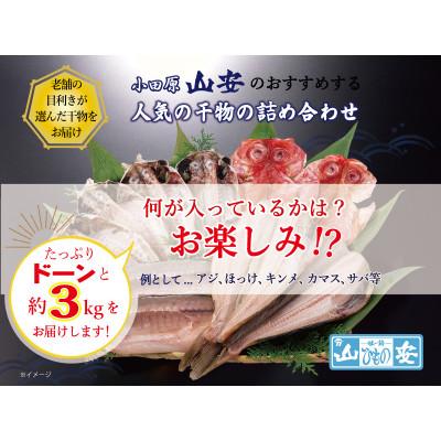 ふるさと納税 小田原市 【小田原　山安】おまかせ干物セット　約3kg |  | 01
