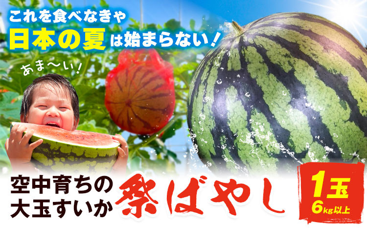 
                  すいか【2027年先行予約】贅沢な甘さとシャリ感 空中育ちの大玉すいか 祭ばやし 6kg以上 1玉 そうがわ農園 《2027年6月下旬-8月上旬頃出荷》 和歌山県 日高川町 スイカ 西瓜 すいか 大玉
                